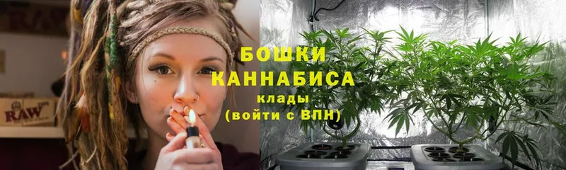 сколько стоит  Алзамай  Бошки Шишки индика 